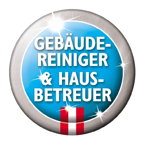 Professionelle Büroreinigung Wien – ReinVision Mitarbeiter bei der Arbeit