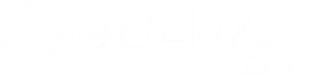 Partner Netzwerk ReinVision e.U.